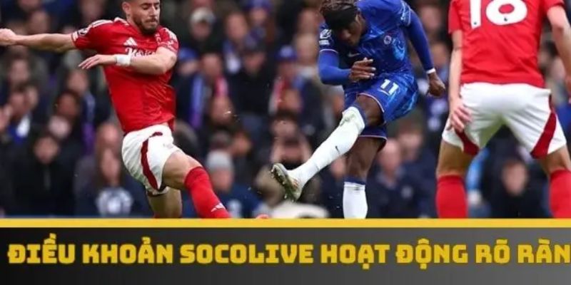 Chi tiết điều khoản dịch vụ socolive